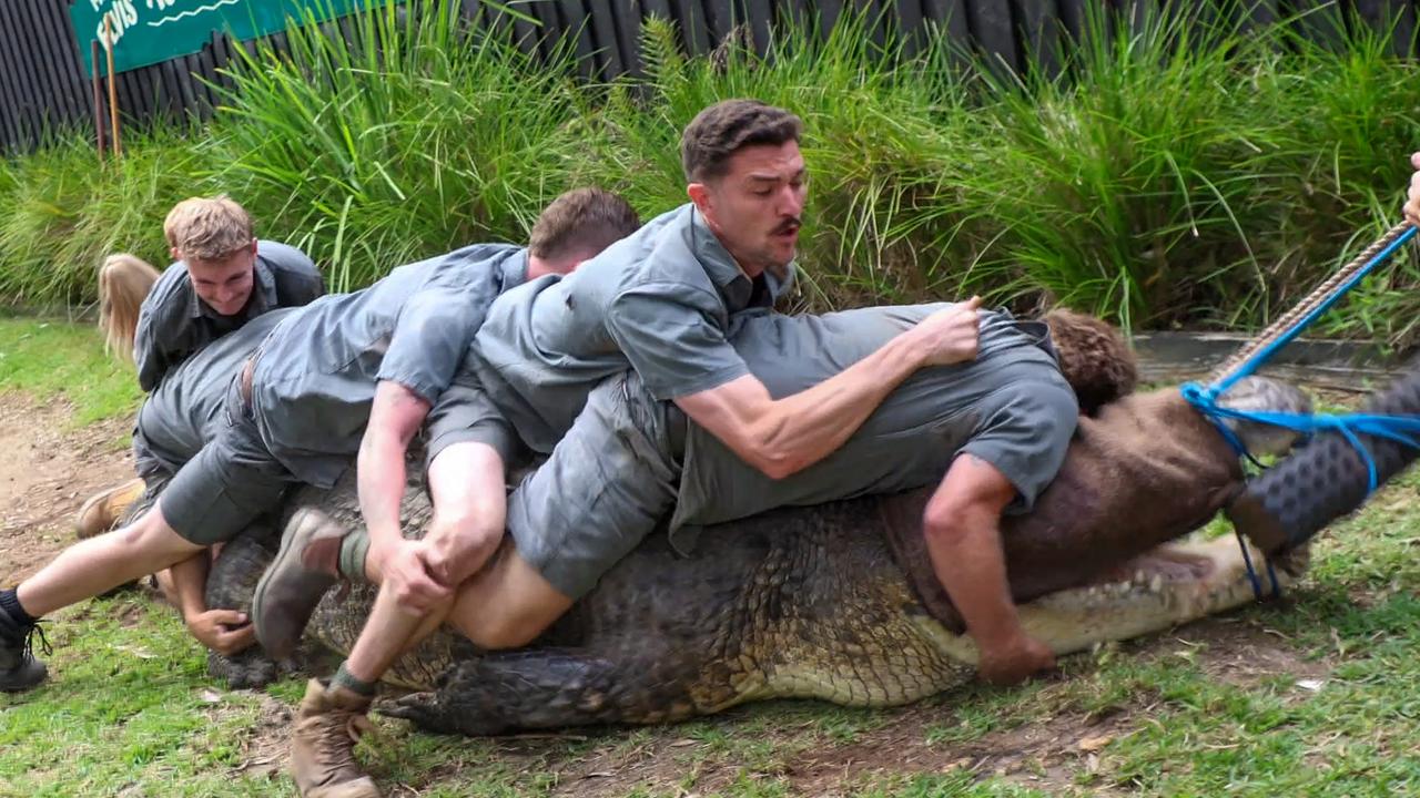 Zoo keeper’s horror 15 seconds with croc