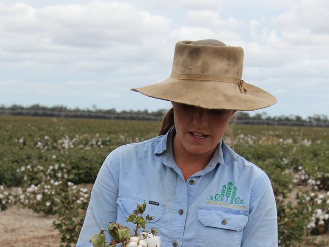 Berwyndale Cotton Farm