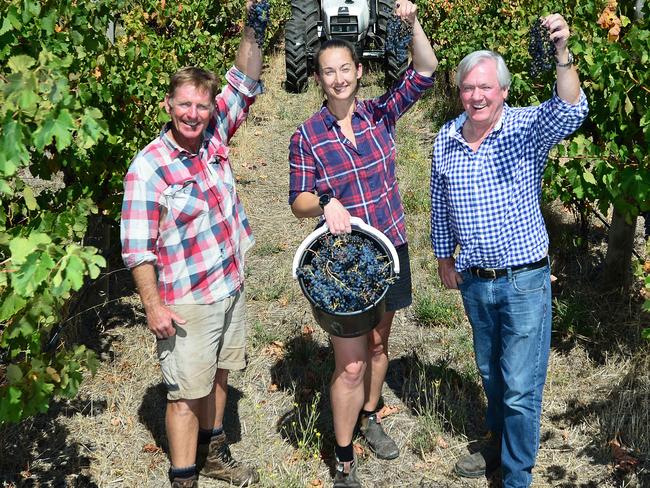 Support plea as Chinese tariffs hit SA wine industry hard