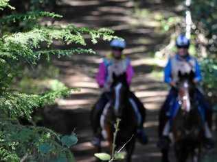 Check out our gallery from the Tom Quilty Gold Cup at Stirling's Crossing in Imbil. Picture: Donna Jones