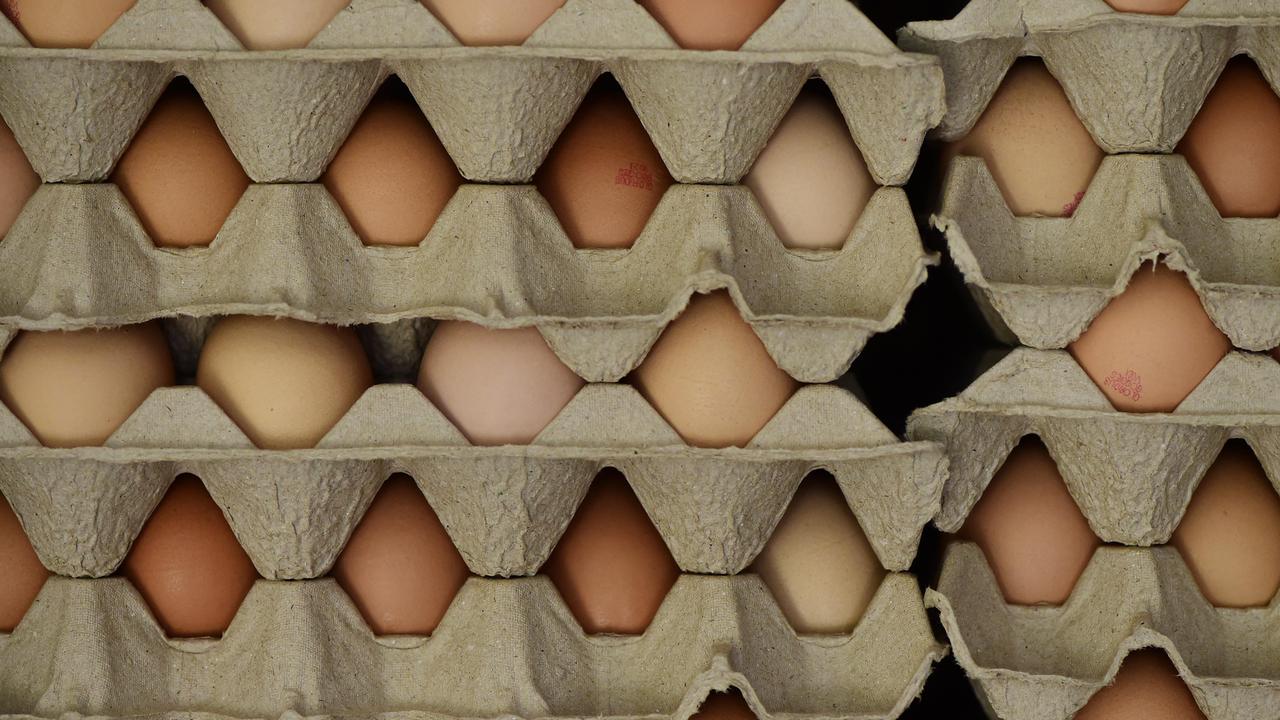 Authorities are asking people to check their eggs. Picture: Zoe Phillips.
