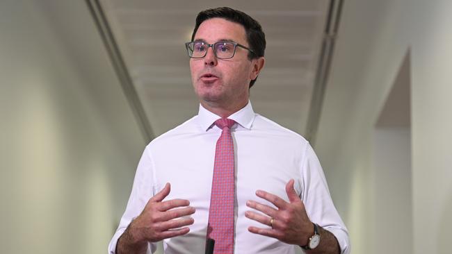 National Party leader David Littleproud says the need for domestic regulation was identified long ago. Picture: NewsWire / Martin Ollman