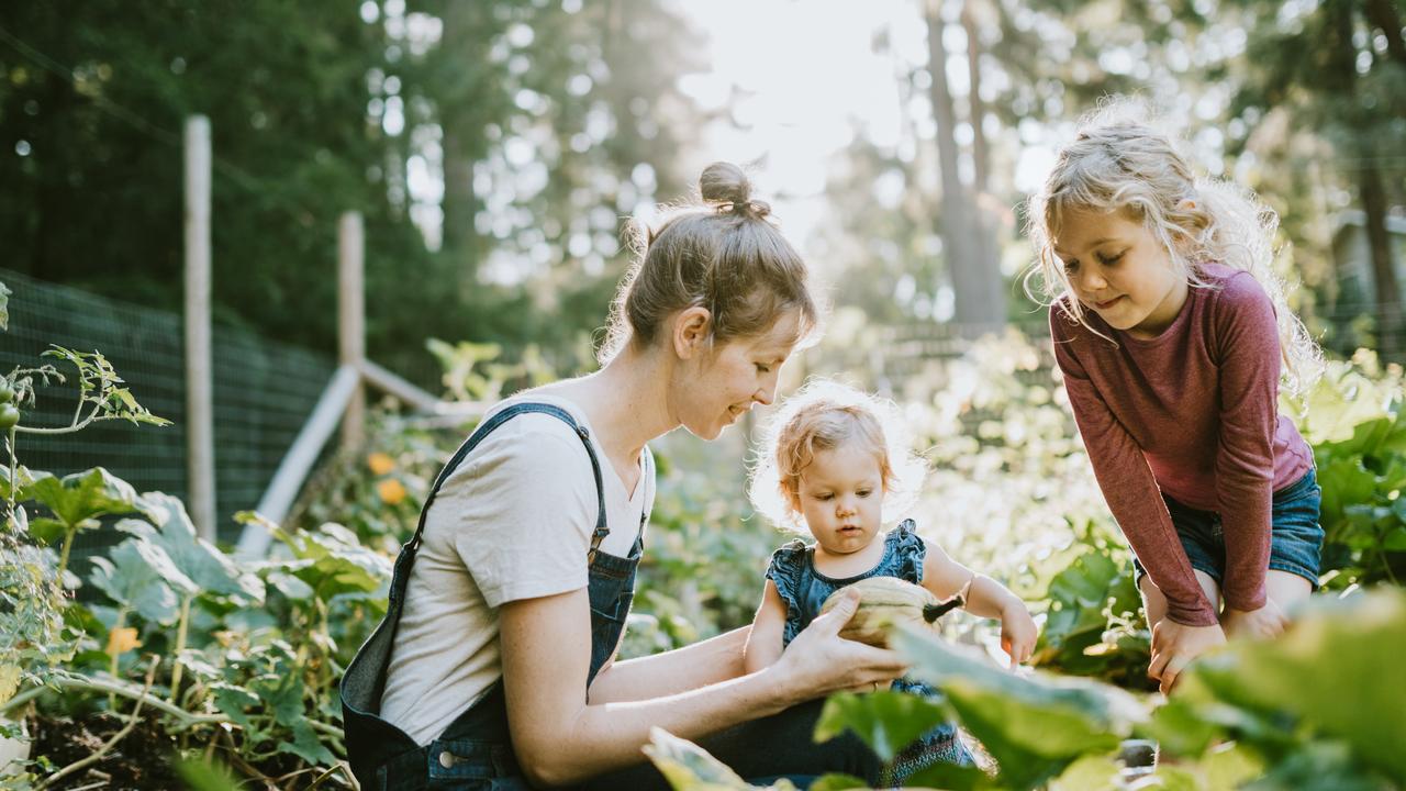 Scott Pape says you are more likely to reduce food waste if kids grow their own veggies.