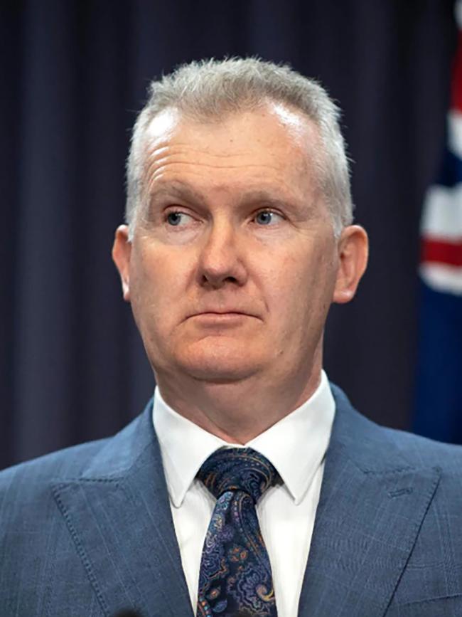 Home Affairs Minister Tony Burke. Picture: NewsWire / Gary Ramage