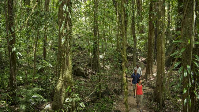 Indigenous cultural tours take in Port Douglas, Mossman, Daintree | The ...