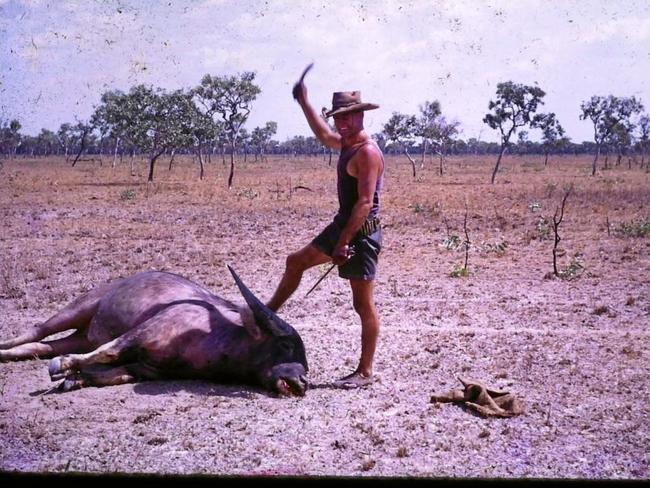 Pioneer buffalo catcher and exporter Alben Perrett. Picture: Contributed