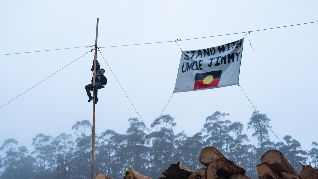 Man hangs 9m from the air during logging protest