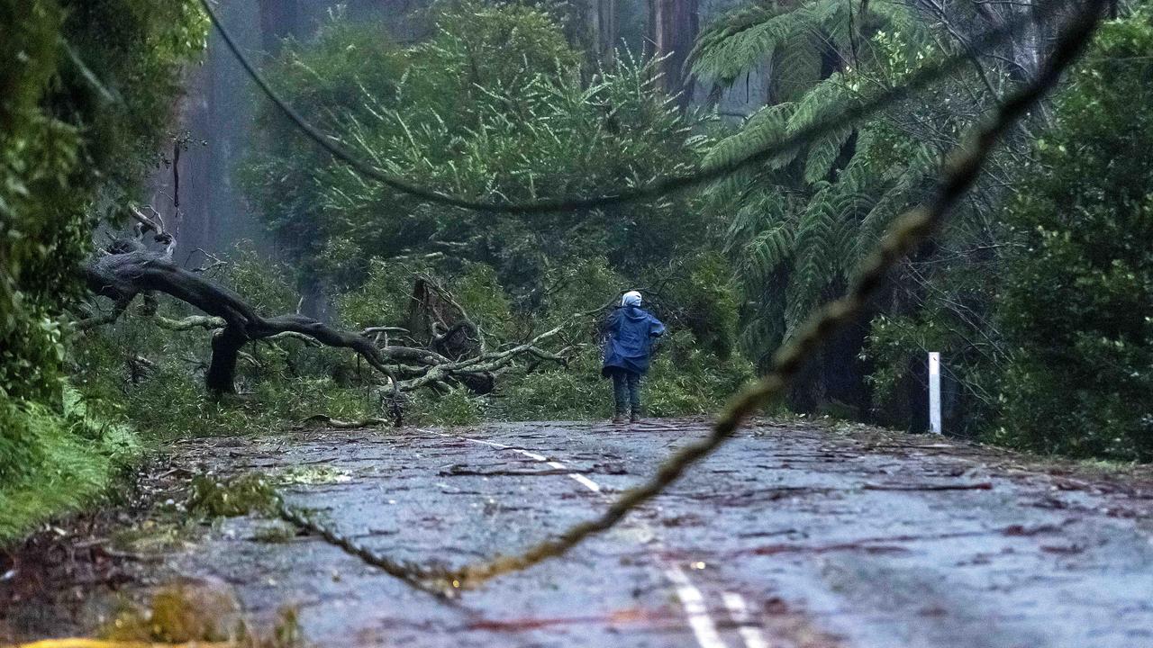 Melbourne Weather Man Dies In Floodwaters As Victoria Begins Storm Clean Up Herald Sun