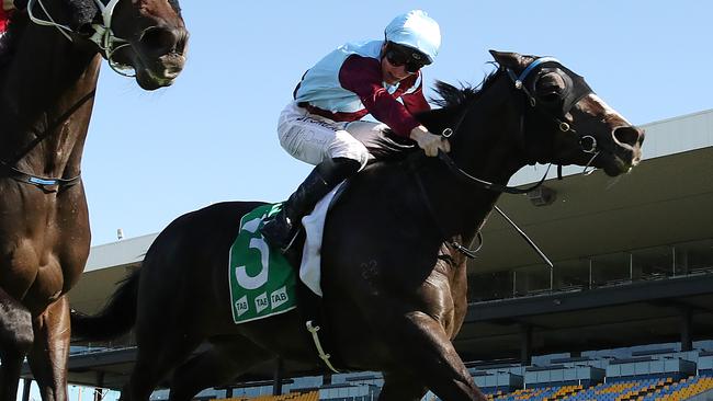 Laure Me In can turn the tables on Greysful Glamour in the Summer Cup. Picture: Getty Images