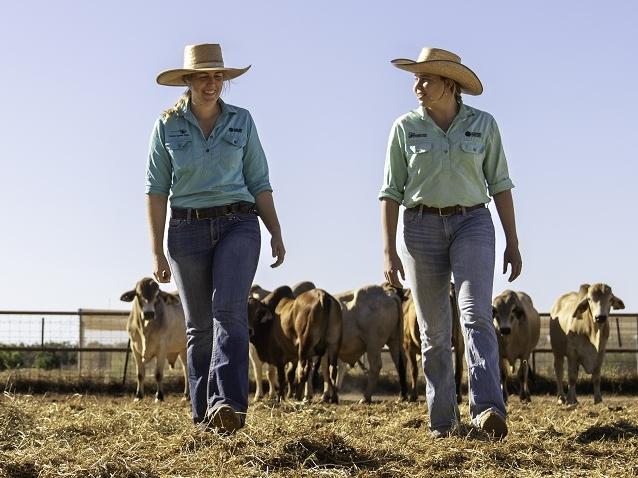 Livestock Industries team at Katherine Research Station. Picture:  NT Department of Agriculture and Fisheries