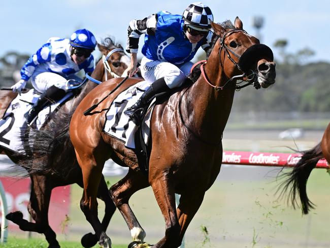 MELBOURNE, AUSTRALIA - OCTOBER 01: Damian Lane riding Glentaneous finishing runner up in race 5, the Thoroughbred Club Australia Handicap during Melbourne Racing at Sandown Hillside on October 01, 2023 in Melbourne, Australia. (Photo by Vince Caligiuri/Getty Images)