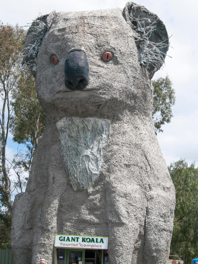 Bear necessities: Giant Koala at Dadswells Bridge. Picture: Alamy