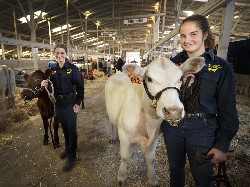 (L-R) Ariarna Pearce 13 and Ilsa Burns 15 of the Tasman District School at Nubeena with their short horns at the Hobart Show. PICTURE CHRIS KIDD