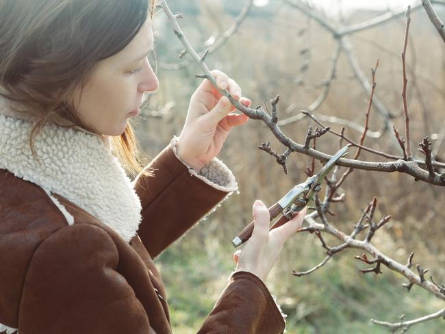 It’s essential to get started on your winter gardening ASAP.