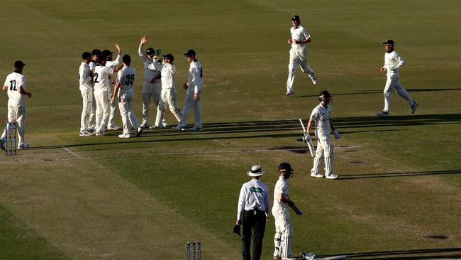 Will Pucovski leaves the field after being dismissed by Jhye Richardson. Picture: AAP Images