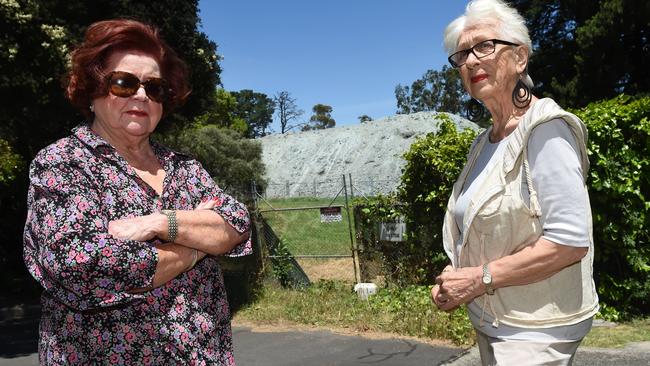 Jo Allen (left) and Terezia Kral outside the site they say is causing them health problems. Picture: Chris Eastman