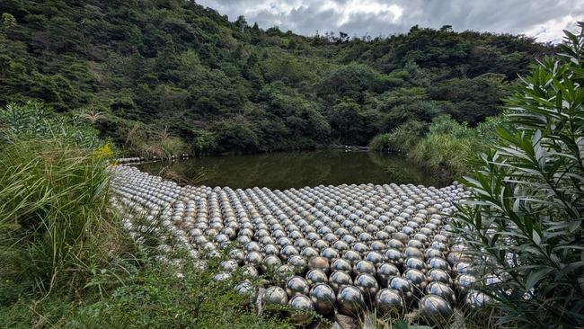 A large-scale Narcissus Garden by Kusama on Naoshima Island in Japan. Picture: Nui Te Koha