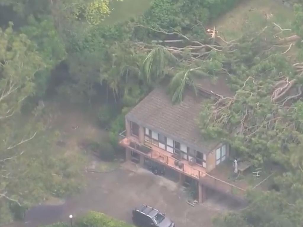 A tree fell on a Wahroonga home on Wednesday amid strong winds. ﻿Picture: 9 NEWS.