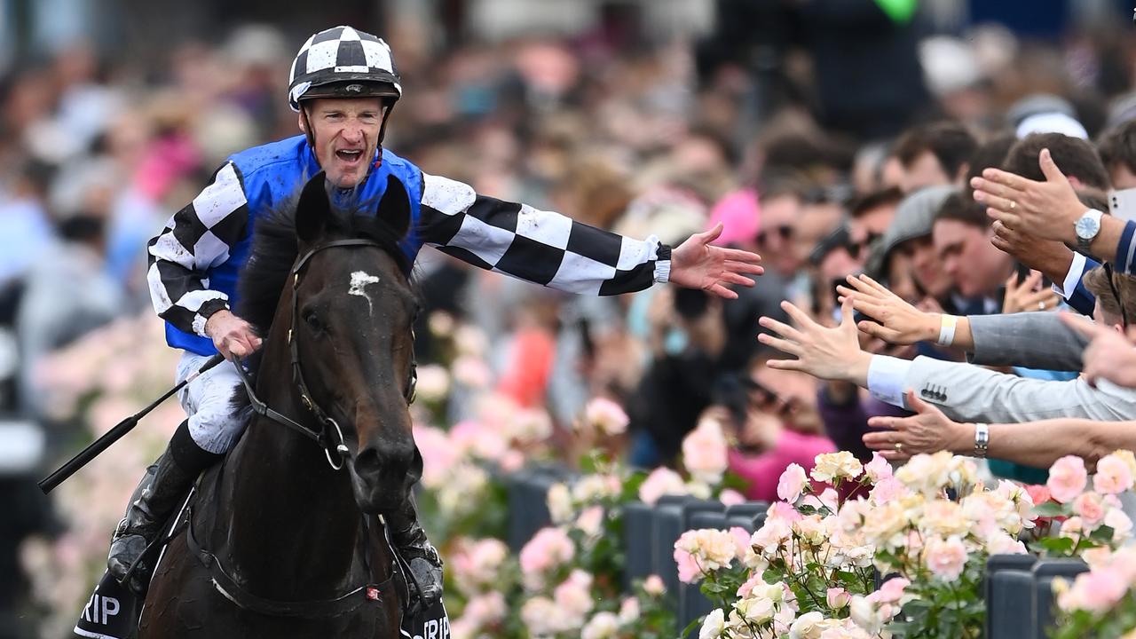 Melbourne Cup 2023: Without A Fight jockey Mark Zahra aims for back-to ...