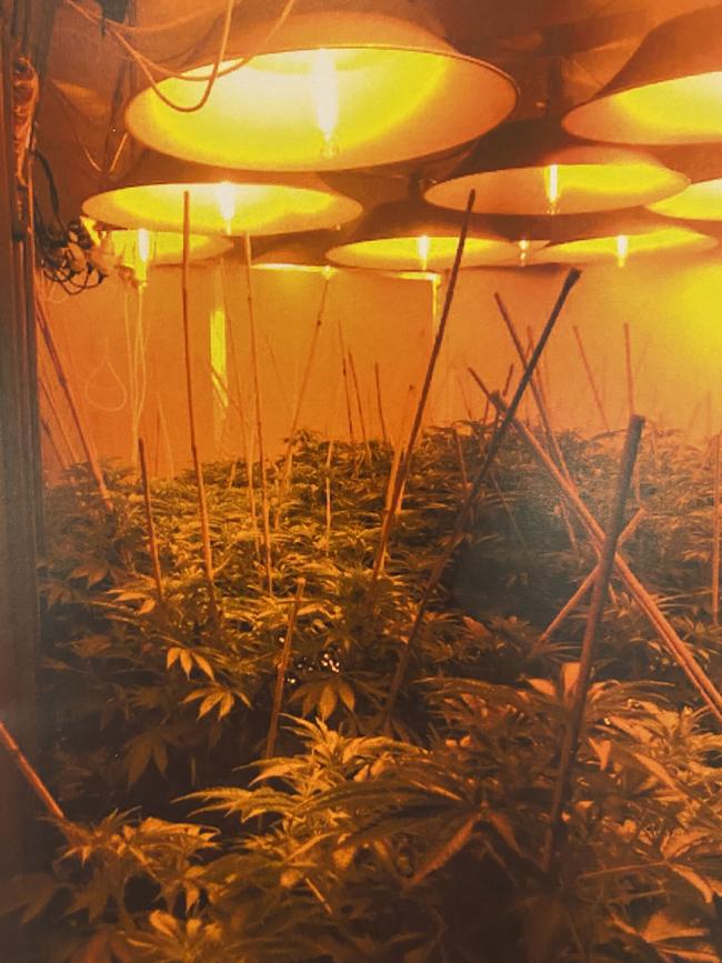 Cannabis and evidence found at a grow house in Hectorville. Picture: Courts