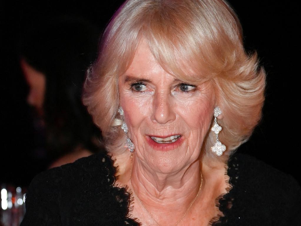 Queen Consort Camilla Suffers Mid-flight Scare On Commercial Plane ...