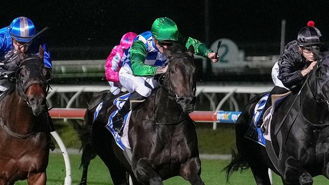 Grid Girl has been a great purchase for the Hayes stable. Picture: George Sal/Racing Photos via Getty Images