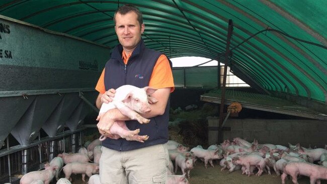 Torben Soerensen at his Kojonup piggery. Source: ABC