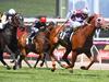 Gambling ad blitz could blanket Victoria
