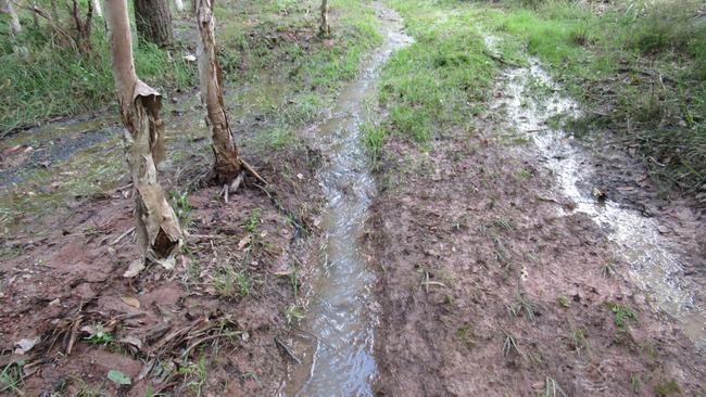 Flooding across the couple’s School Rd property at Logan Reserve.