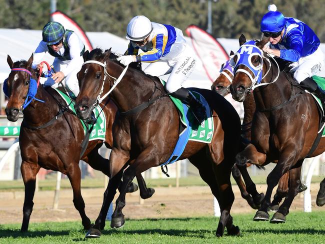 Happy Go Plucky, ridden by Stephanie Thornton, wins the Ipswich Cup. Picture: Grant Peters/Trackside Photography