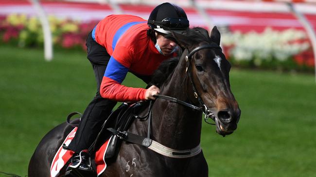 Verry Elleegant has been the big mover in Cox Plate betting since the scratching of Zaaki. Picture: Getty Images