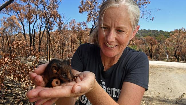 University of Adelaide wildlife ecologist Dr Jasmin Packer. Picture: Tom Huntley