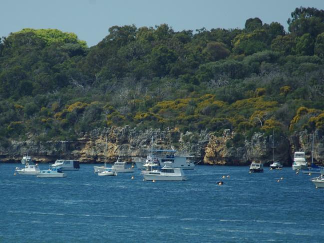 Blackwall reach cliff and moorings, Swan River, Western Australia. Picture: