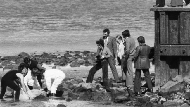 Police recover Muir’s body in plastic bags in Port River in August 1979.