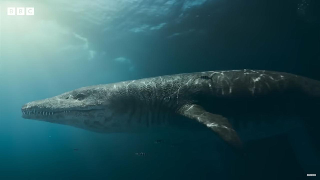 Known as pliosaur, the 6ft-long head is believed to be one of the most complete examples discovered yet. Picture: YouTube/BBC