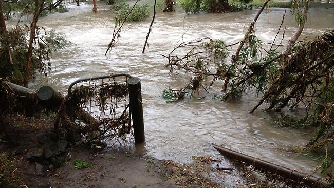 Four people rescued and hundreds call for help as flash floods strike