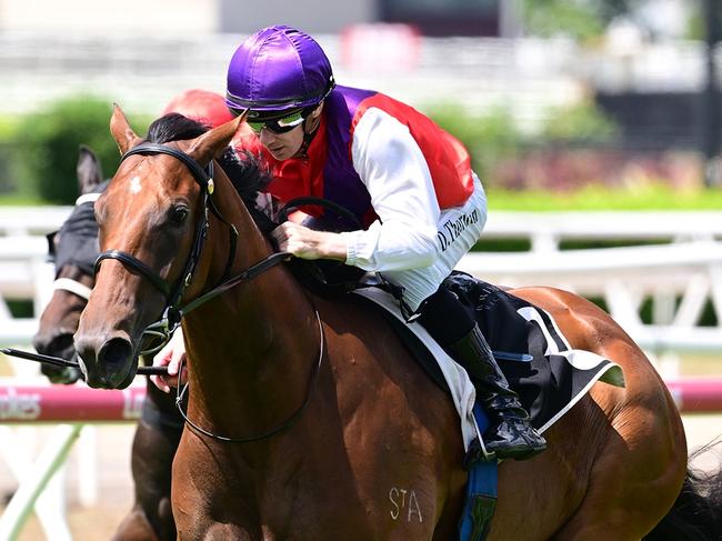 Racing legend Lee Freedman is daring to dream big with two-year-old filly Profoundly who won in fine fashion at Eagle Farm. Picture: Grant Peters, Trackside Photography.