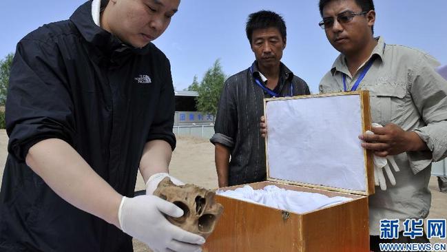 A long way from home ... A skull found in a 1400-year-old Chinese tomb appears to belong to a man of European origins. Source: Xinhuanet