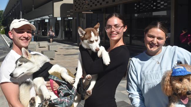 Ipswich 2023 Dog Day at Nicholas Street Precinct pictured is Malcolm Gibbs with dog willow, Kaitlyn Borg with dog Winston and Cat Robson with dog teddy