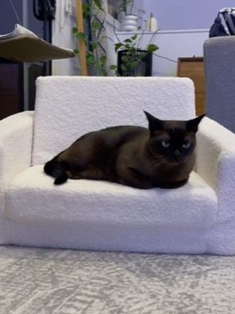 Woman reveals how her cat loves the Kmart Boucle Cream Flip Out Sofa. Picture: TikTok/@lifeofemily94