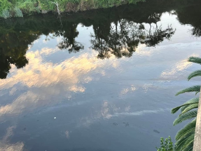 Picture of the reported oil slick on the Georges River on January 9.