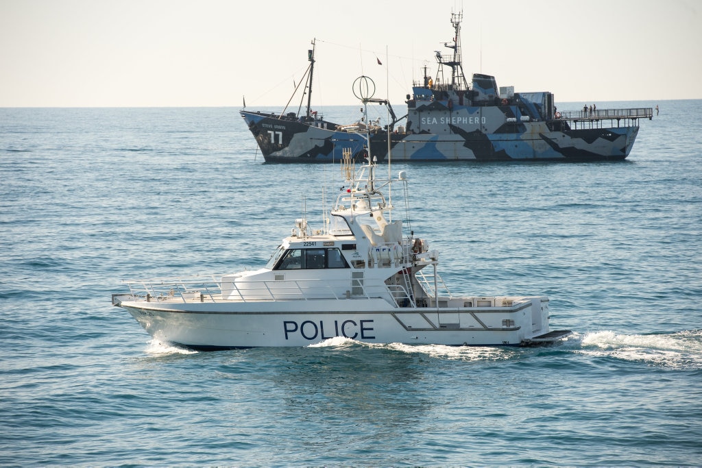 Sea Shepherd in Coffs Harbour | Daily Telegraph