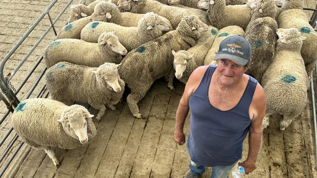 Peter Robertson from Woodside North at Jerilderie, NSW, sold a range of ages of Merinos at the Corowa sheep sale, including a line of older ewes that made $138. Mr Robertson said a year ago, the same quality ewes would not have made $50.