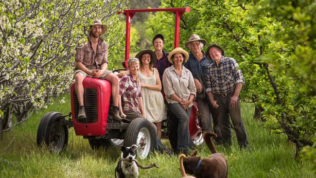 Open Food Network Australia has launched a pilot food delivery service called Open Road in Victoria to connect co-ops like Harcourt Organic Farming Cooperative (pictured) and customers directly. Picture: Supplied