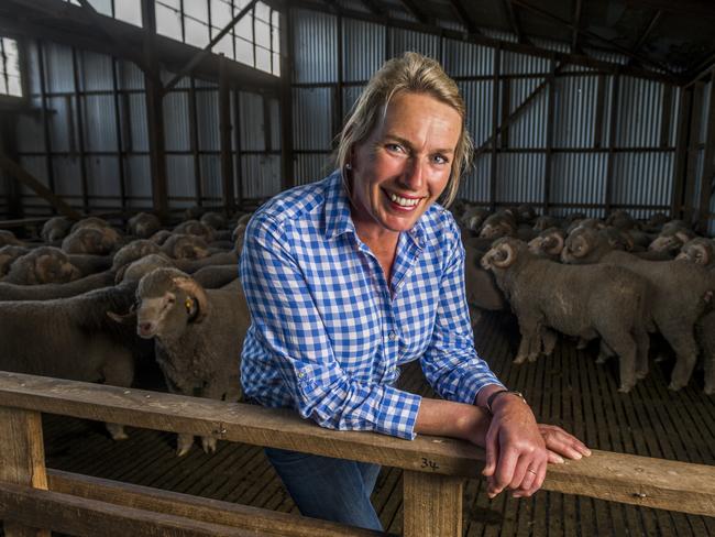 Georgina Wallace of the Trefusis Merino stud at Ross in Tasmania’s Midlands region. Georgina is the president of the Australian Association of Stud Merino Breeders. Merino rams. November 2017. Picture: PHILLIP BIGGS