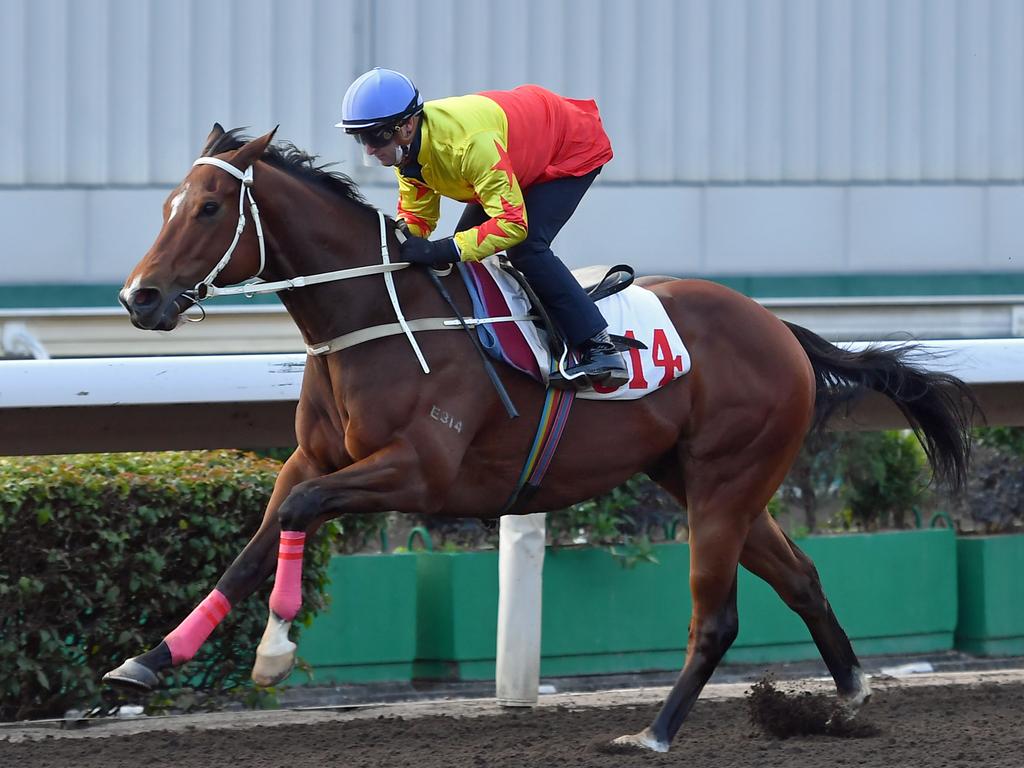 California Spangle leads the field home this morning at Sha Tin. Picture: HKJC