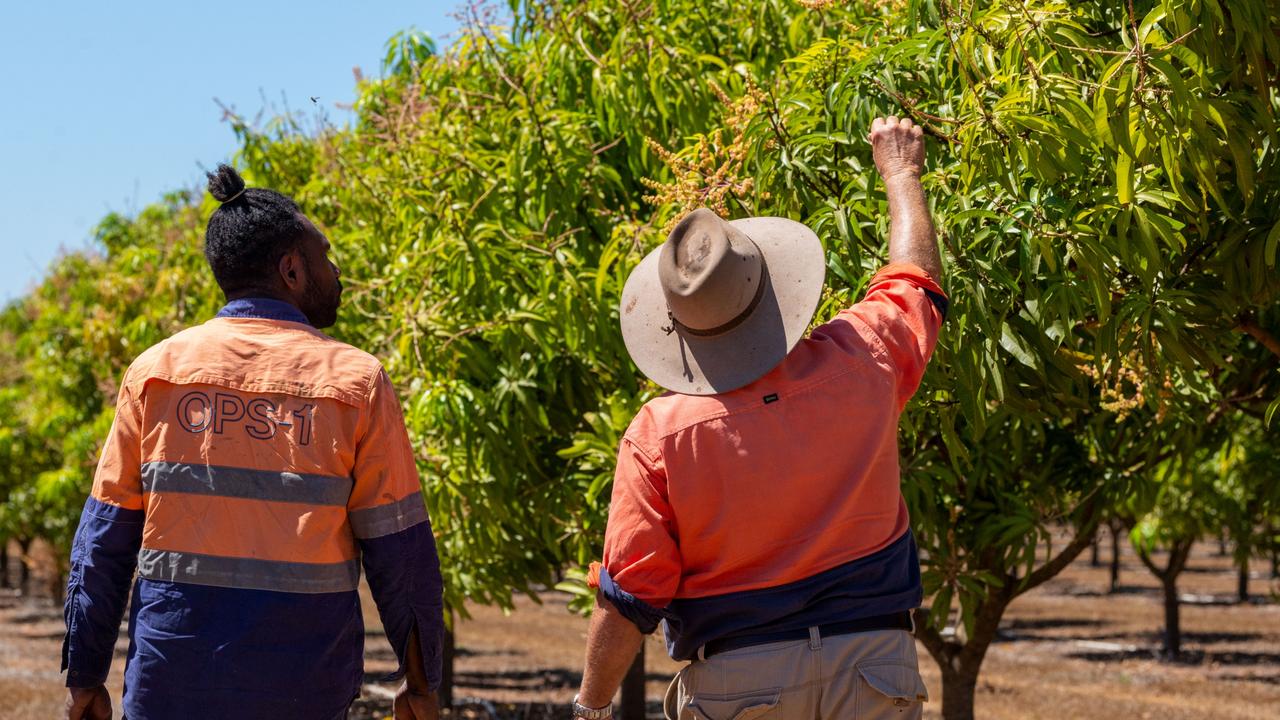 About 20 farms in the Lockyer Valley are under investigation by Fair Work for allegedly underpaying staff.