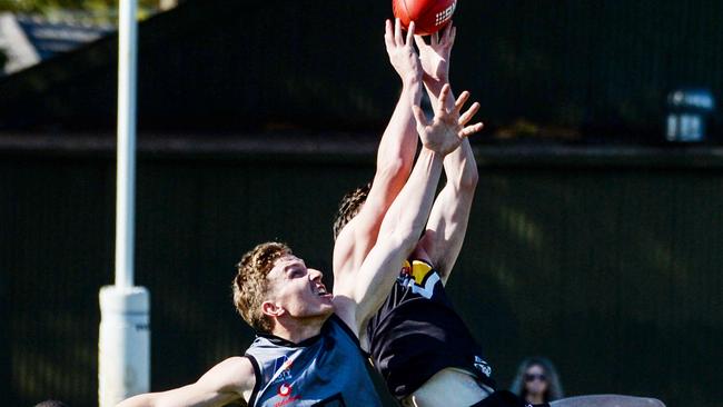 Jarman Sigal takes a big grab for Brighton. Picture: Brenton Edwards