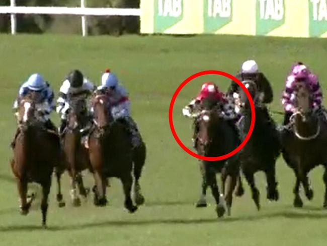 Read 'Em And Weep (circled) is primed to break through following a last-start third at Muswellbrook.