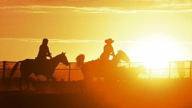 Brunette Downs near Tennant Creek.